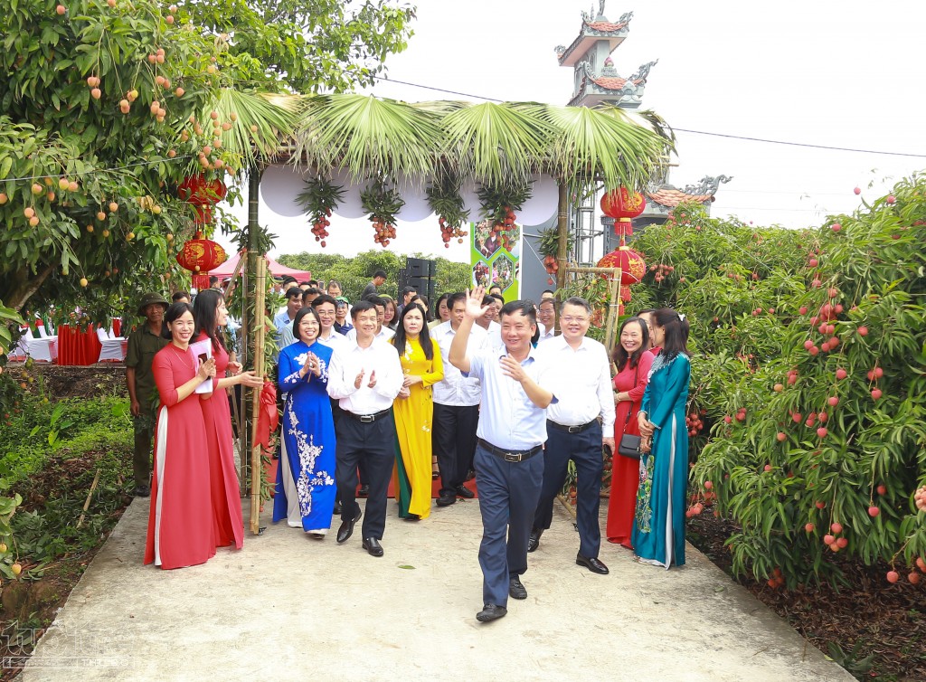 Vải thiều Thanh Hà chinh phục thị trường Pháp, UAE, Châu Phi, Nam Mỹ