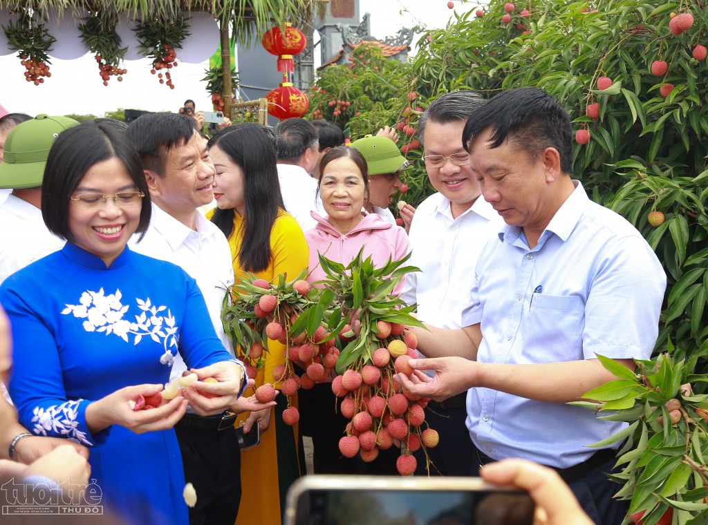 Vải thiều Thanh Hà chinh phục thị trường Pháp, UAE, Châu Phi, Nam Mỹ