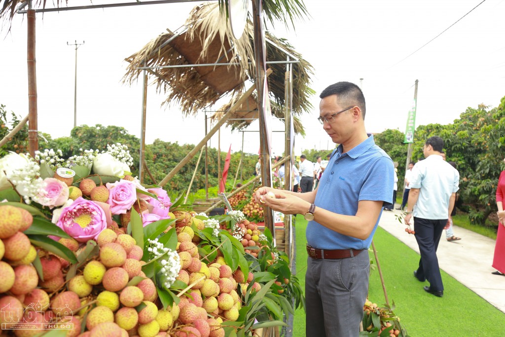 Đặc sản nông sản chủ lực của Thanh Hà hướng tới thị trường toàn cầu