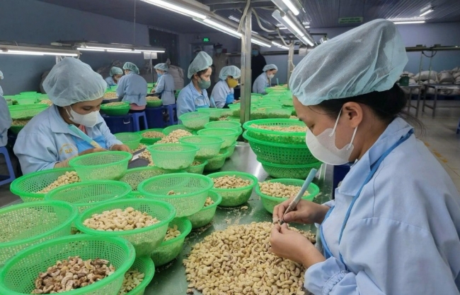 Giải pháp nào để xây dựng nền kinh tế tự lực, tự cường theo Nghị quyết 68?