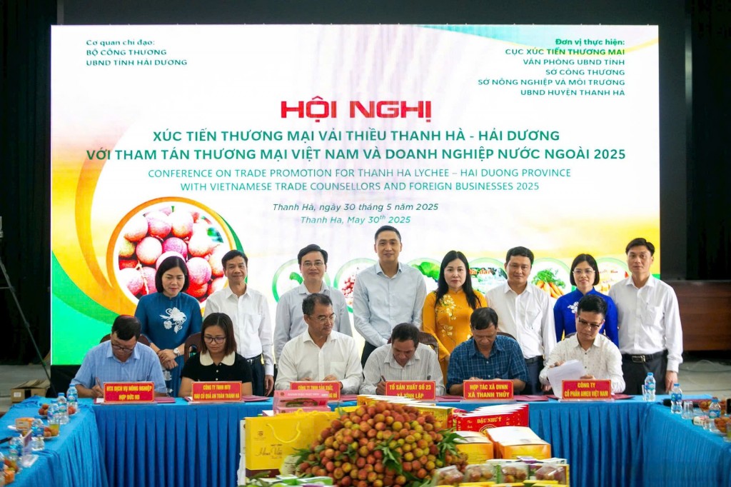 Đặc sản nông sản chủ lực của Thanh Hà hướng tới thị trường toàn cầu Đặc sản nông sản chủ lực của Thanh Hà hướng tới thị trường toàn cầu