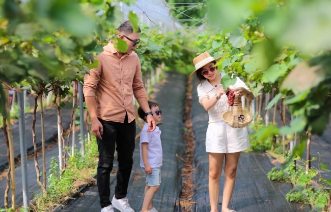Hà Nội phát triển kinh tế làng nghề từ du lịch và sản phẩm OCOP