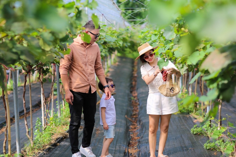 Hà Nội phát triển kinh tế làng nghề từ du lịch và sản phẩm OCOP