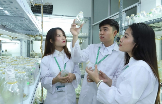 Cải cách mạnh mẽ chính sách thu hút, ưu đãi người tài