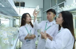 Cải cách mạnh mẽ chính sách thu hút, ưu đãi người tài