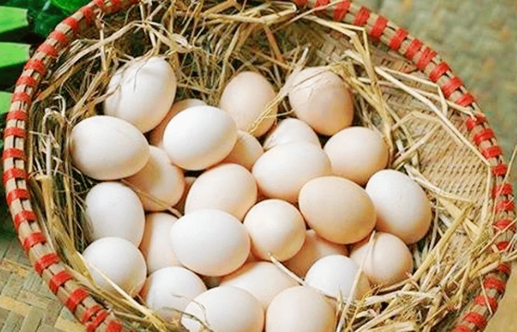 Cho phép sử dụng địa danh “Khai Thái” để đăng ký nhãn hiệu tập thể trứng gà Khai Thái