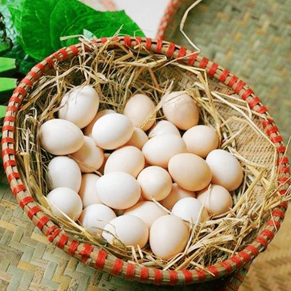 Cho phép sử dụng địa danh “Khai Thái” để đăng ký nhãn hiệu tập thể trứng gà Khai Thái