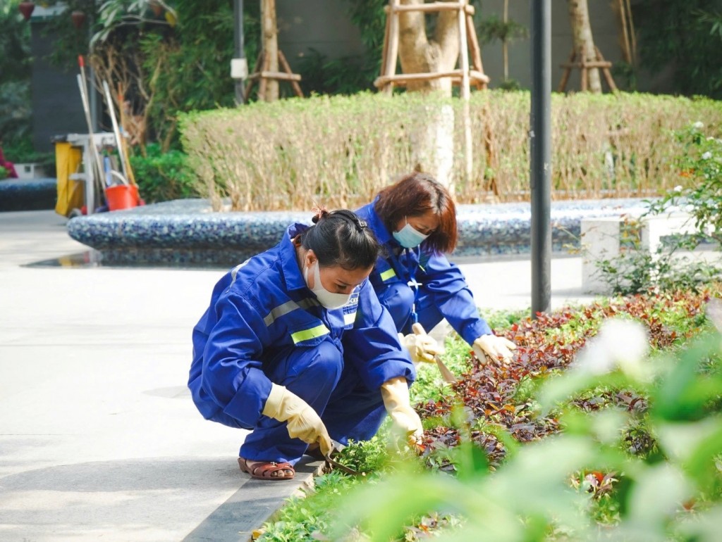 Dịch vụ vận hành chuyên nghiệp nâng tầm trải nghiệm sống ở chung cư