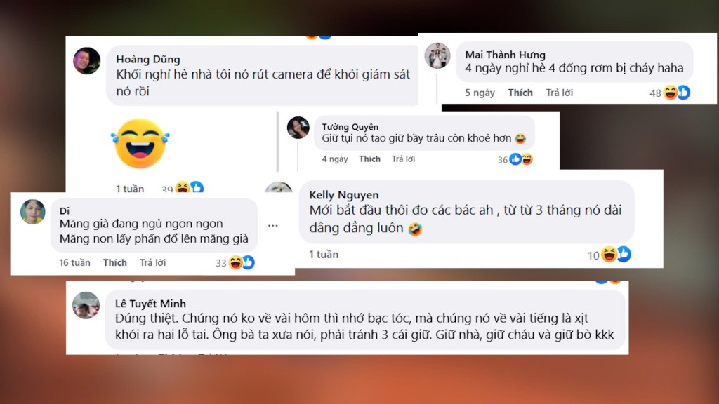 Cư dân mạng bất ngờ và cũng có phần thích thú với những trò nghịch ngợm của lứa tuổi “vô lo vô nghĩ”