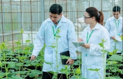 Hỗ trợ vận hành chính quyền địa phương hai cấp về lĩnh vực nông nghiệp và môi trường