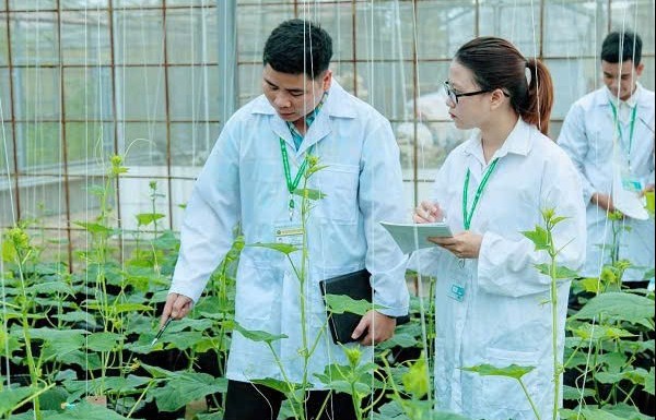 Hỗ trợ vận hành chính quyền địa phương hai cấp về lĩnh vực nông nghiệp và môi trường