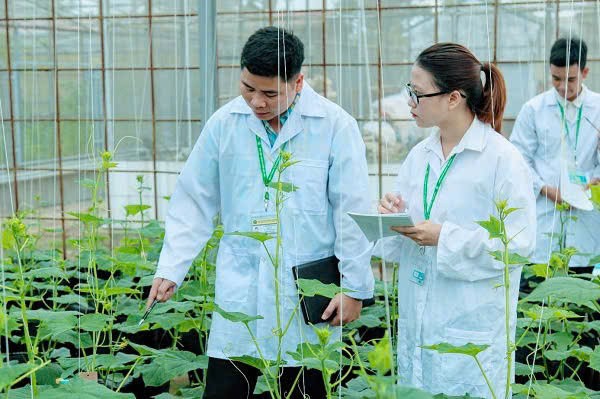 Nông nghiệp Công nghệ cao: Ngành học kiến tạo tương lai nông nghiệp Việt Nam