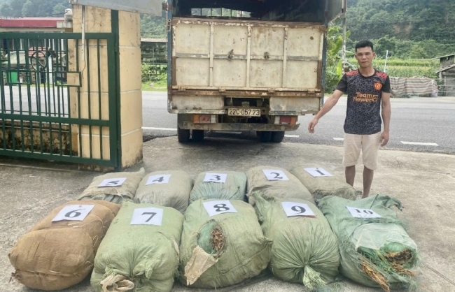 Trùng Khánh và Hà Quảng (Cao Bằng): Thu giữ 1.128 kg nguyên liệu thuốc lá không rõ nguồn gốc