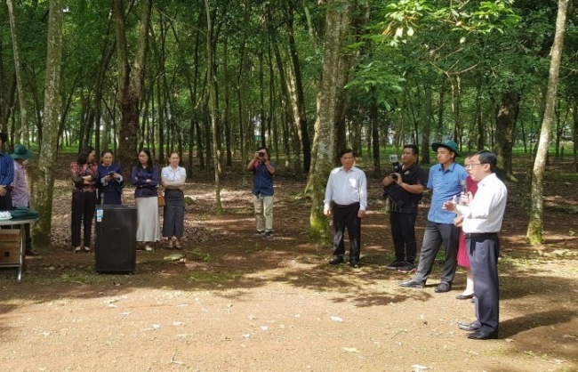 Tổng Công ty Cao su Đồng Nai: Nửa thế kỷ xây dựng, vươn mình