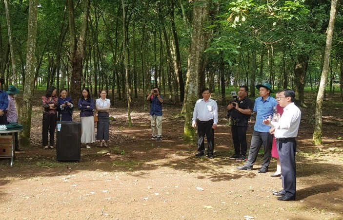 Tổng Công ty Cao su Đồng Nai: Nửa thế kỷ xây dựng, vươn mình