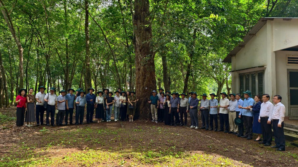 Đoàn công tác chụp ảnh lưu niệm cùng Tổng Công ty cao su đồng Nai bên cây cao su cổ thụ có tuổi đời gần 120 năm