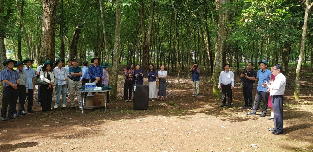 Ông Đỗ Minh Tuấn, Tổng Giám đốc Tổng Công ty Cao su Đồng Nai giới thiệu về đơn vị và vườn cây cao su bảo tồn