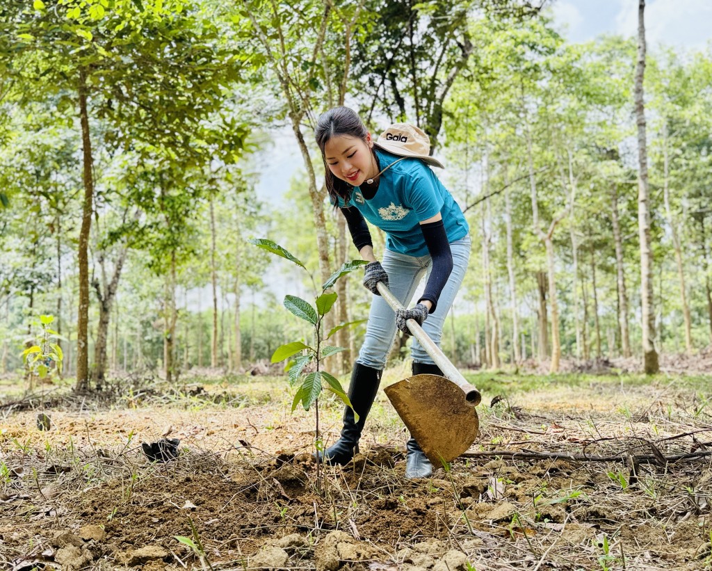 Góp một mầm cây, gieo tương lai xanh