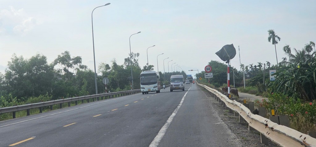 Quảng Nam: Hàng loạt biển báo giao thông bất ngờ bị bịt kín