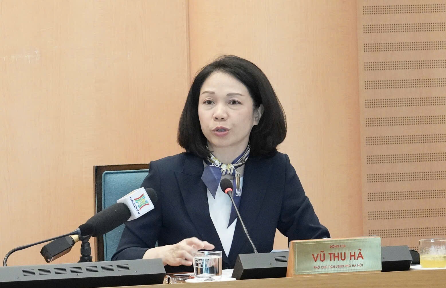 Phó Chủ tịch UBND thành phố Hà Nội Vũ Thu Hà phát biểu