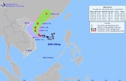 Quảng Ninh: Cô Tô dừng mọi hoạt động để ứng phó bão số 1