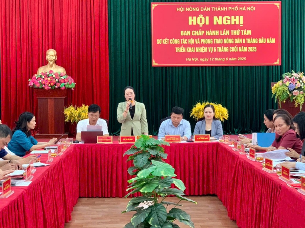 Quan tâm, bảo vệ quyền, lợi hợp pháp cho các hội viên nông dân