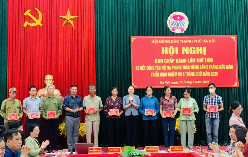 Quan tâm, bảo vệ quyền, lợi hợp pháp cho các hội viên nông dân
