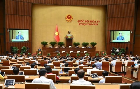 Khuyến khích tổ chức, cá nhân tham gia đầu tư dự án đường sắt