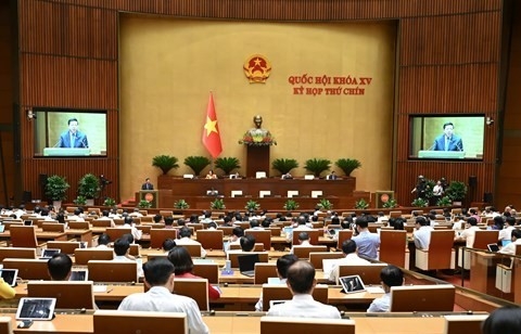 Khuyến khích tổ chức, cá nhân tham gia đầu tư dự án đường sắt