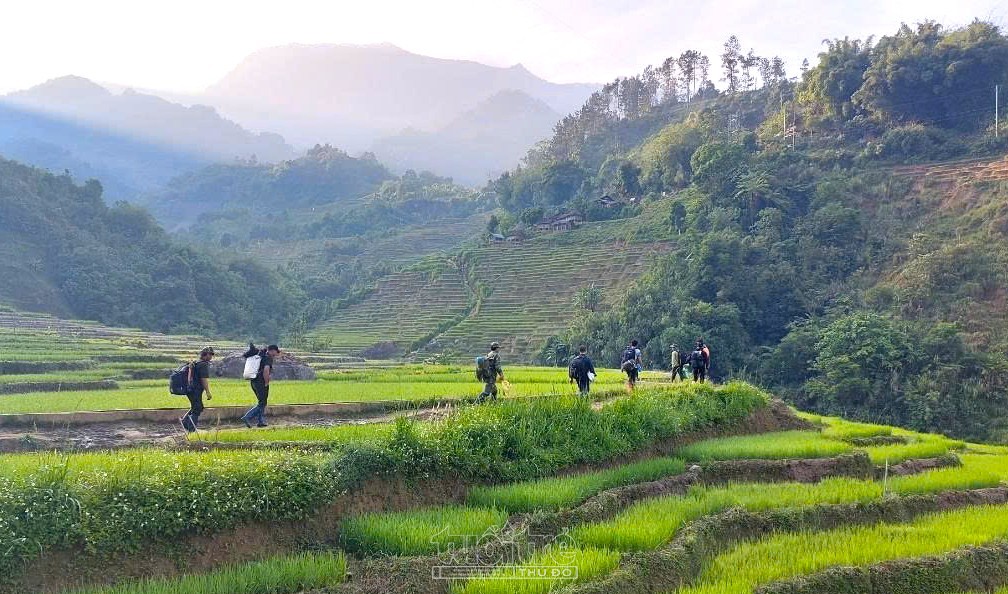 Ứng dụng công nghệ thông tin vào công tác quản lý, bảo vệ rừng