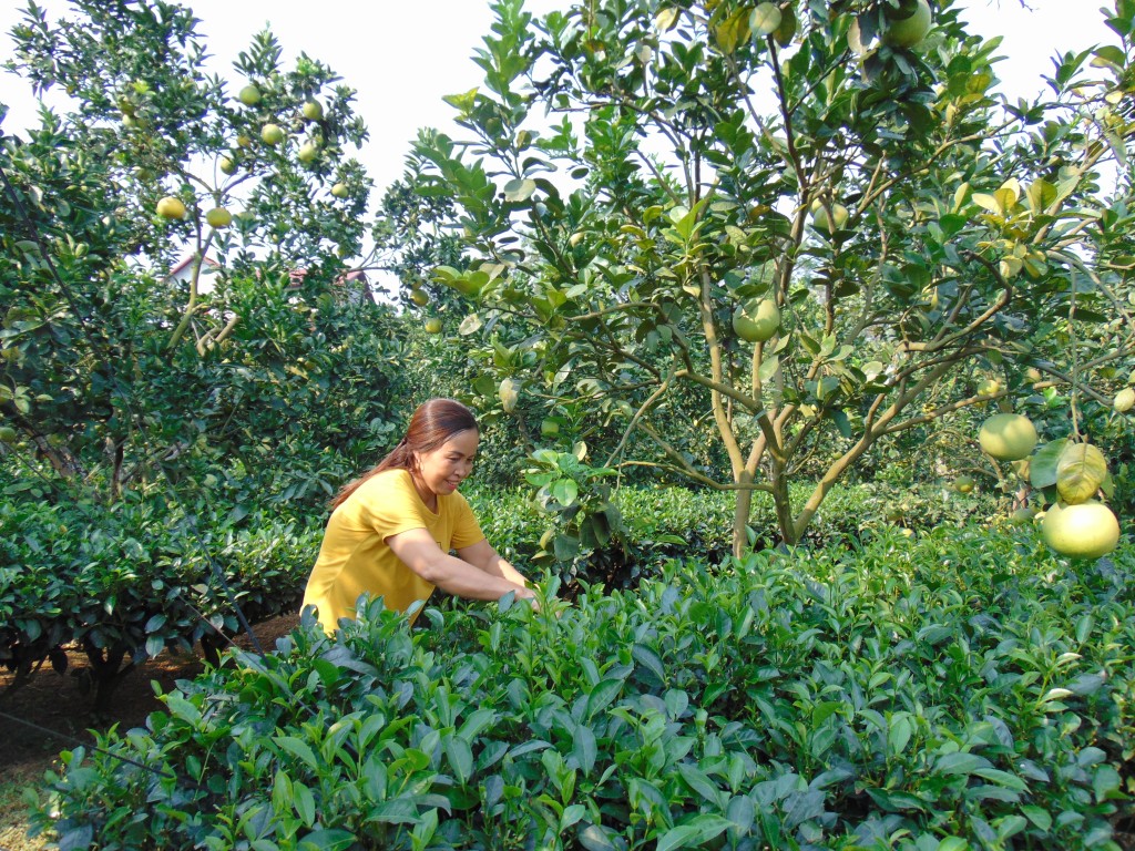 Báo chí - kênh thông tin hữu ích của đồng bào dân tộc thiểu số