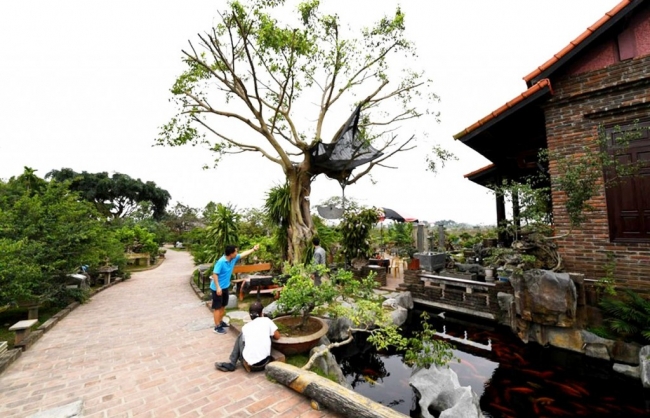 Thủ tướng Chính phủ công nhận huyện Thường Tín đạt chuẩn Nông thôn mới nâng cao