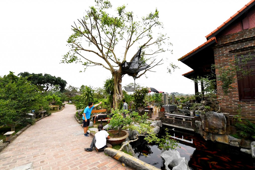 Thủ tướng Chính phủ công nhận huyện Thường Tín đạt chuẩn Nông thôn mới nâng cao