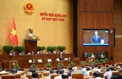 Lo ngại các kỳ thi đánh giá năng lực tạo áp lực, tốn kém
