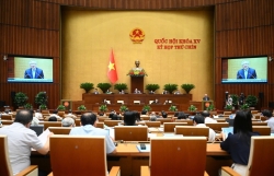 Chính phủ quyết đấu tranh, không khoan nhượng với hàng giả