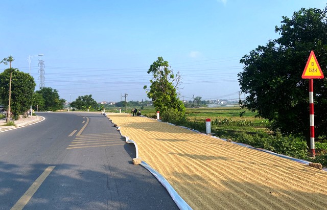 Xử lý nghiêm hành vi phơi thóc, đốt rơm rạ khu vực ngoại thành