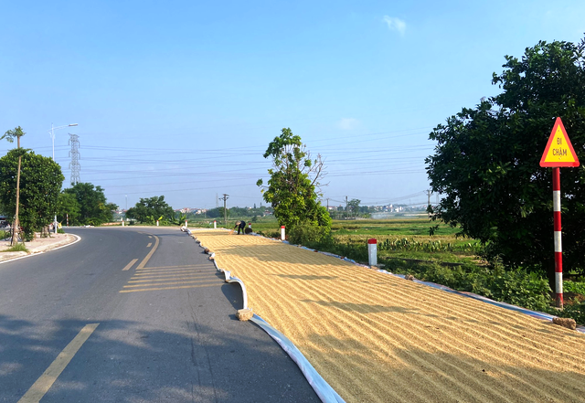 Xử lý nghiêm hành vi phơi thóc, đốt rơm rạ khu vực ngoại thành
