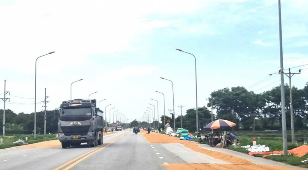 Xử lý nghiêm hành vi phơi thóc, đốt rơm rạ khu vực ngoại thành