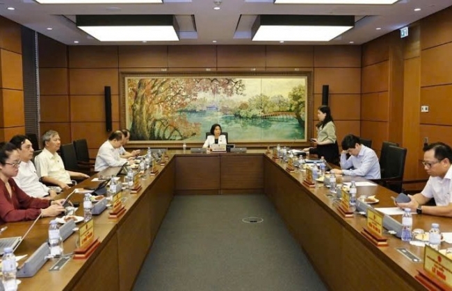 Xây dựng hệ thống pháp luật rõ ràng, tránh phát sinh "rừng luật"
