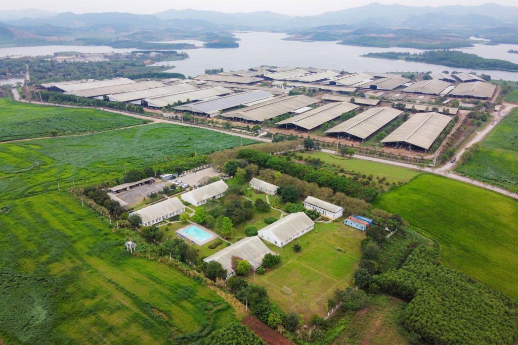 Cụm trang trại bò sữa công nghệ cao khép kín.