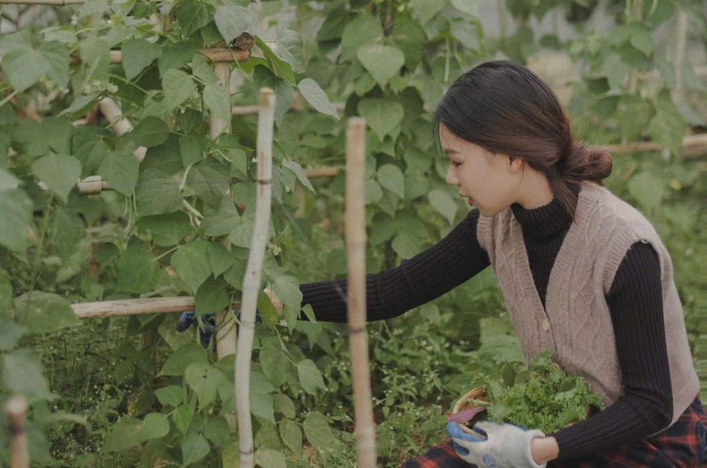Sinh viên tốt nghiệp và lựa chọn mang tên “về hay ở”