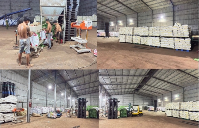 Đồng Nai truy quét hàng nhái, hàng giả trong lĩnh vực nông nghiệp