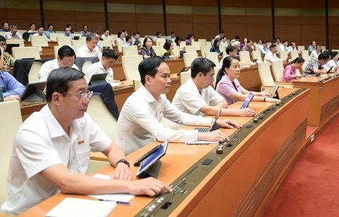 Chính phủ được ban hành nghị quyết để sửa luật