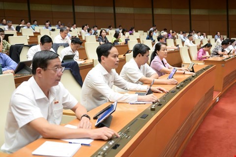 Chính phủ được ban hành nghị quyết để sửa luật