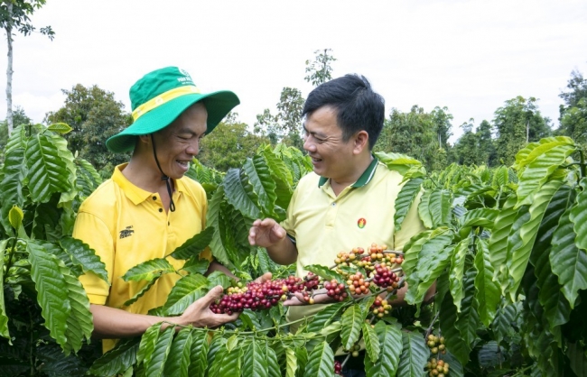 Doanh nghiệp phân bón ổn định giá bán dù nguyên liệu nhập khẩu tăng