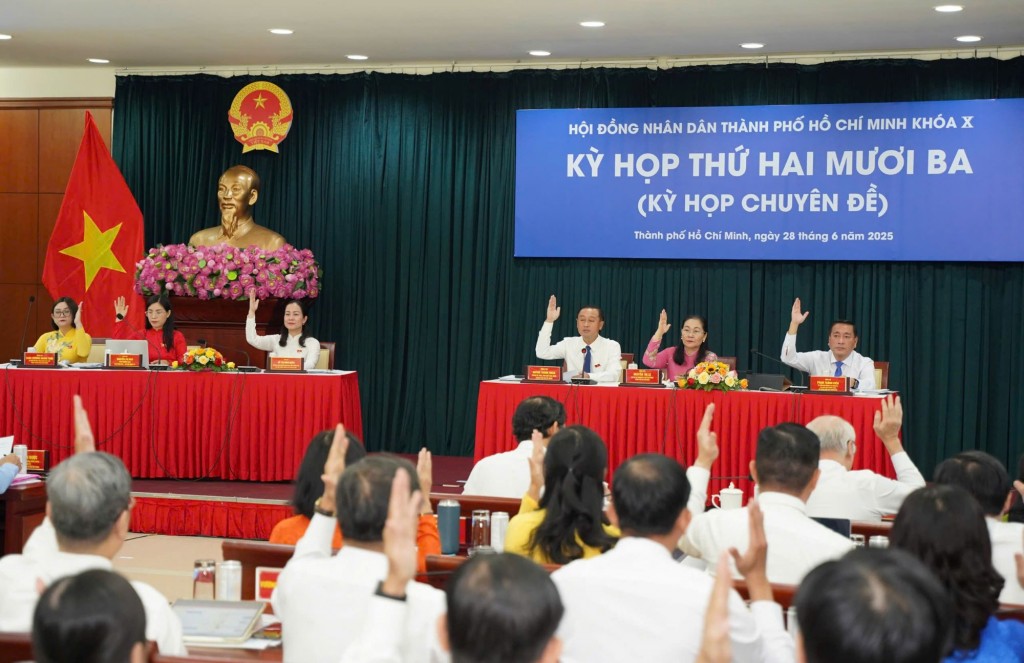 Các đại biểu biểu quyết