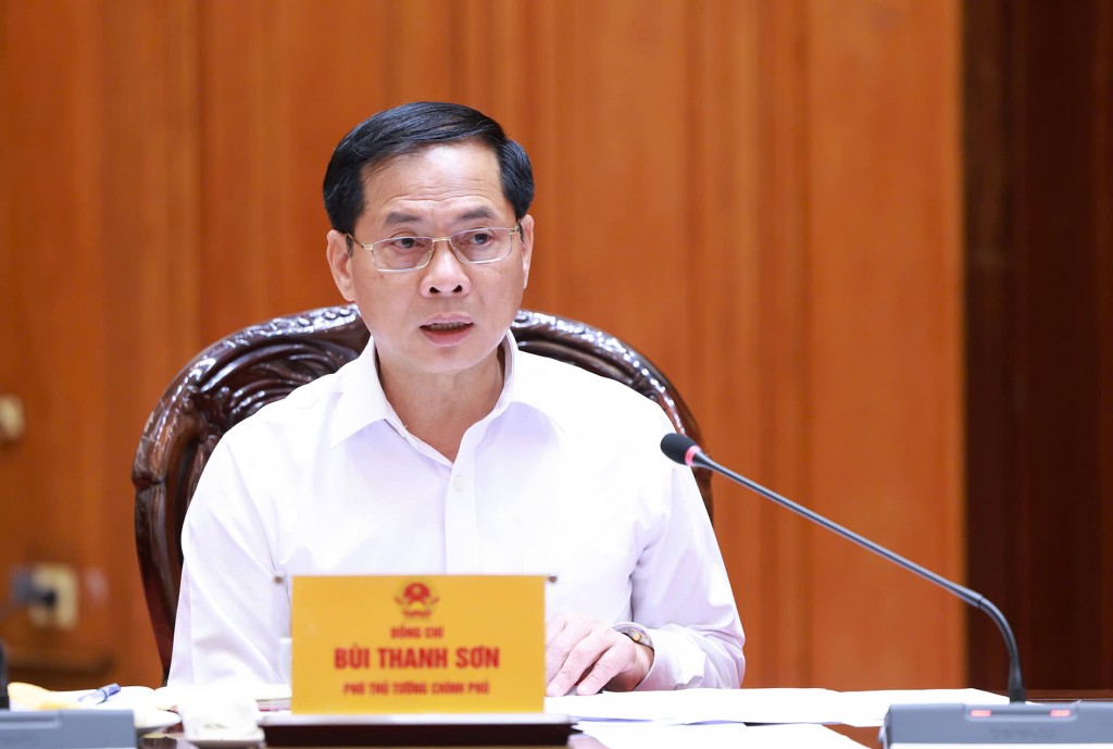 Phỏ Thủ tướng, Bộ trưởng Bộ Ngoại giao Bùi Thanh Sơn phát biểu tại phiên họp - Ảnh: VGP/Nhật Bắc