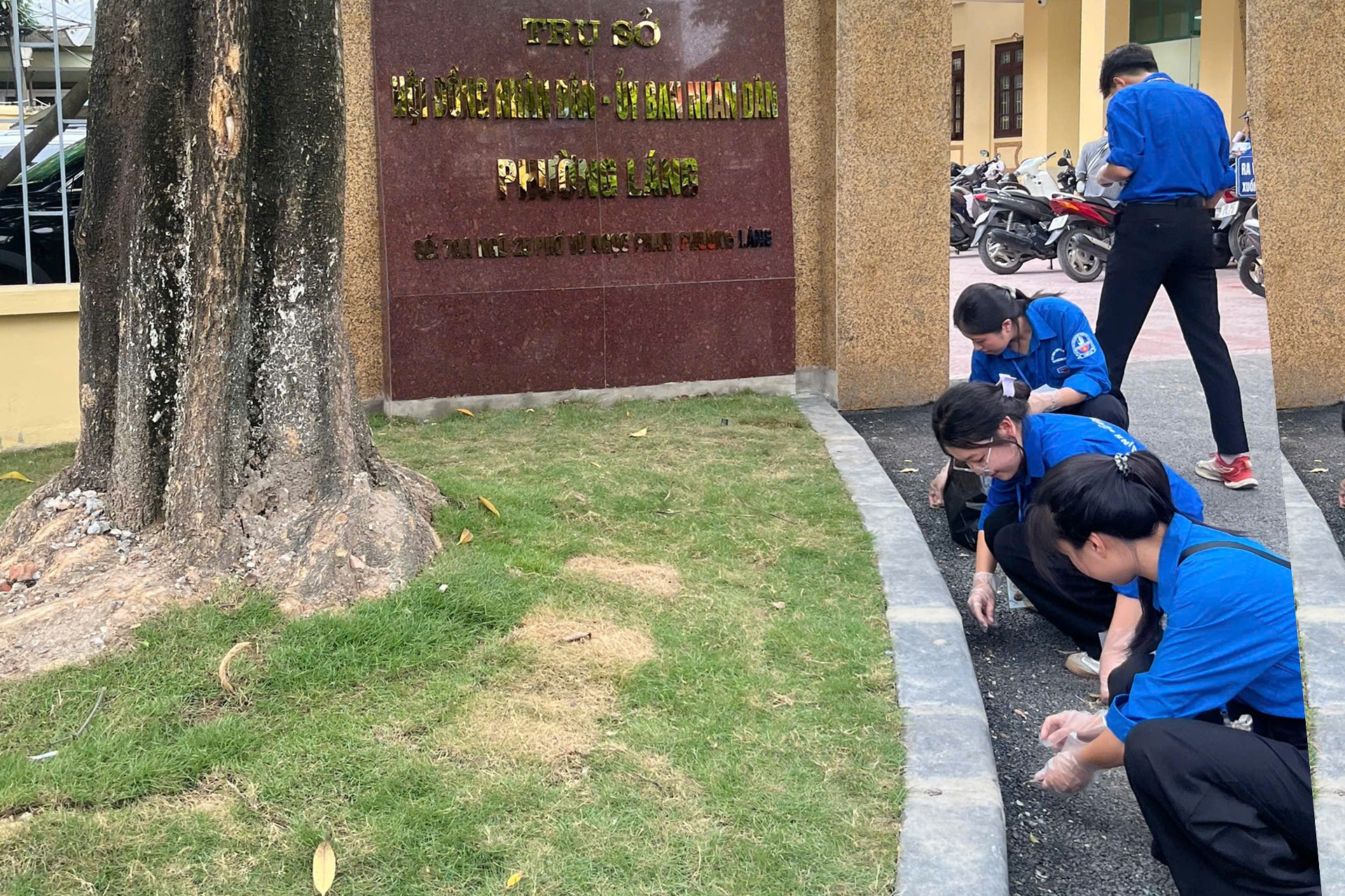 Lực lượng thanh niên dọn dẹp vệ sinh xung quanh khu vực trụ sở phường