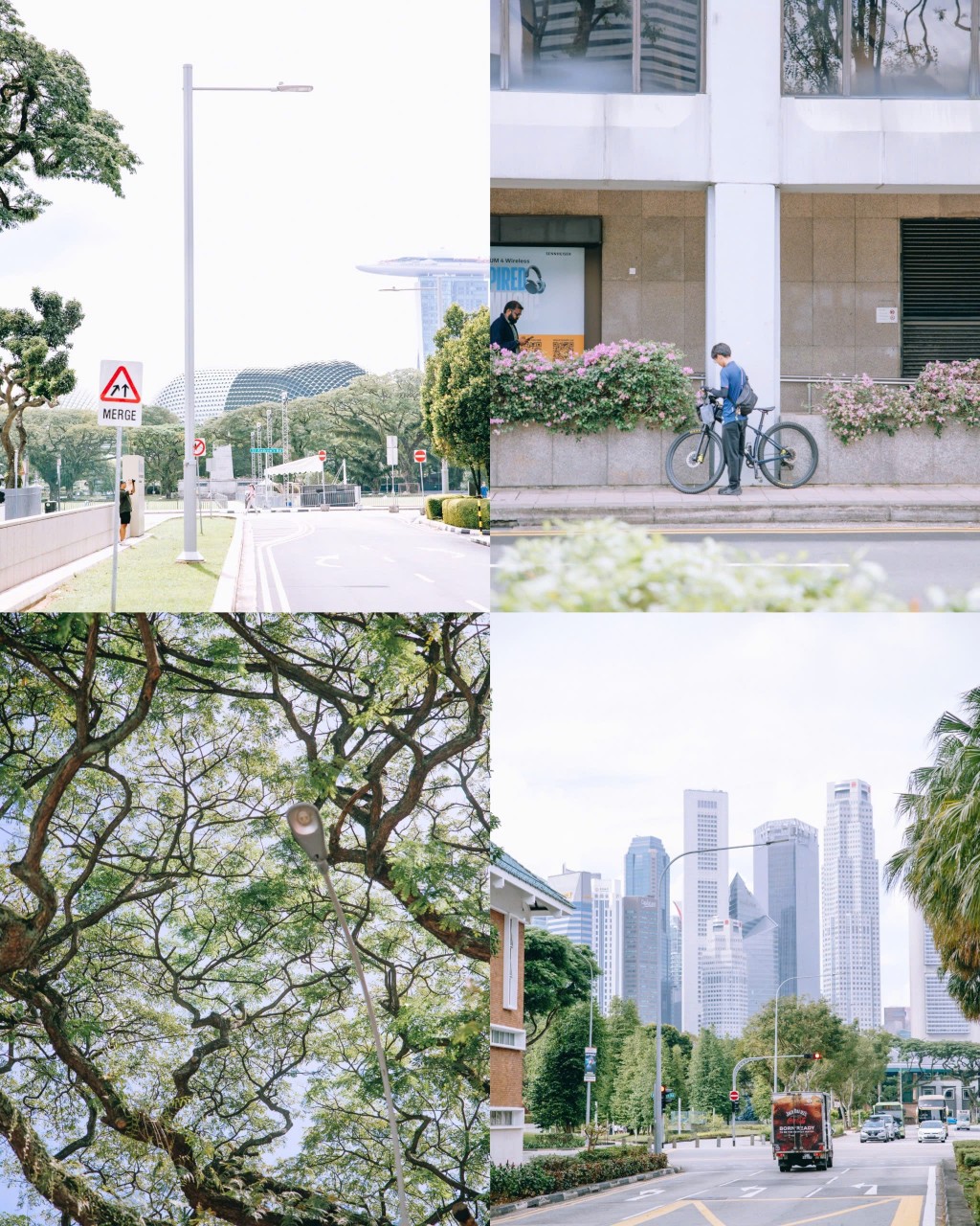 Ảnh: son.chans