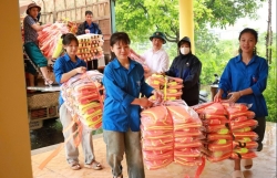 Hà Nội khắc phục kịp thời khi có tình huống thiên tai xảy ra